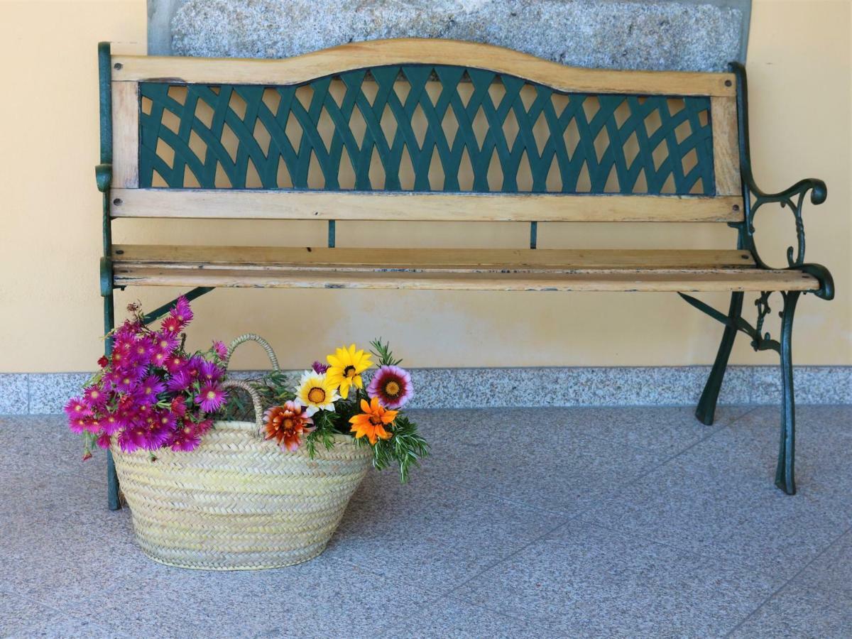 Lovely Sunny-House Viana do Castelo Exterior photo