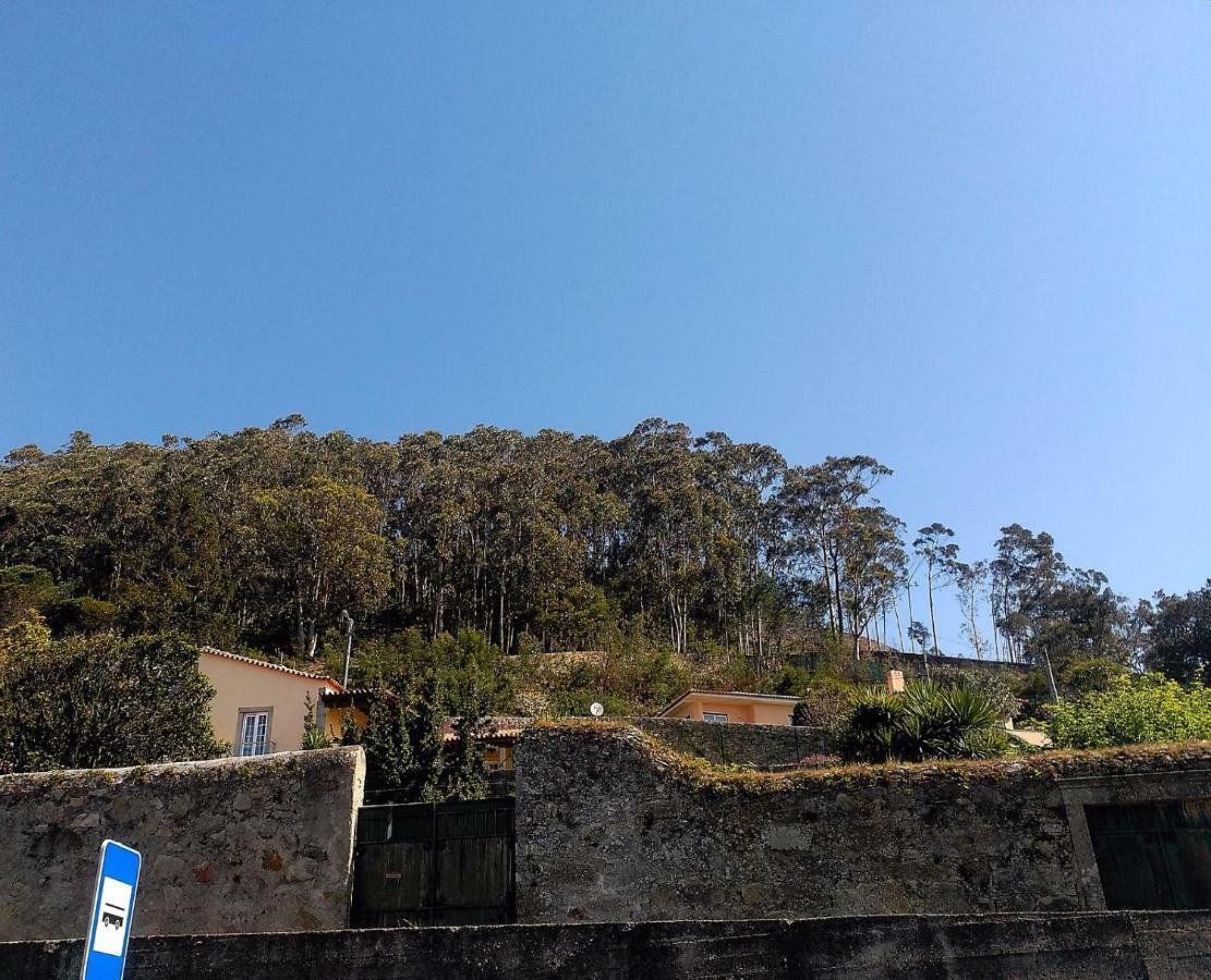 Lovely Sunny-House Viana do Castelo Exterior photo